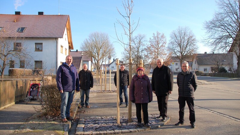 Begutachteten die neu gepflanzten Mehlbeer-Bäume in Sallach: Bürgermeister Herbert Lichtinger, dritter Bürgermeister Hans Bauer, Stadtrat Fritz Frank, OGV-Vorsitzende Waltraud Korber, Stadtrat Wolfgang Bäuml sowie Stadtrat und Bau- und Umweltreferent Franz Winter (von links)