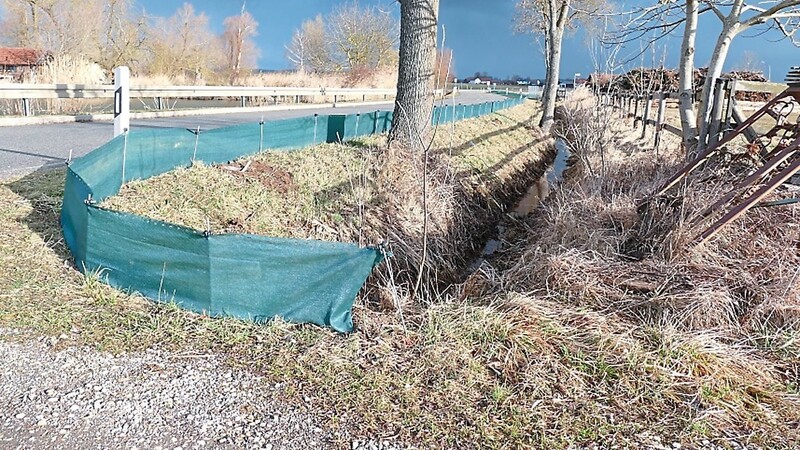 Der Schutzzaun entlang der Straße soll das Überfahren von Amphibien verhindern.