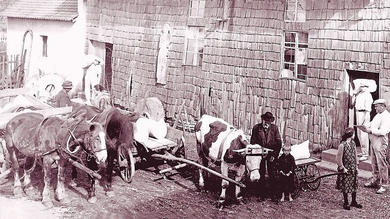 Hochbetrieb bei der Pongratzmühle in der Plankenschwaige.