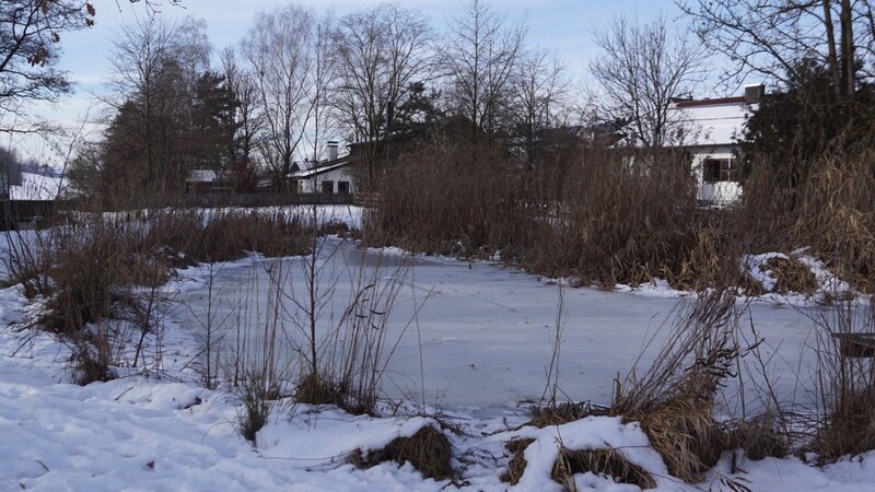 Auf den lokalen Gewässern wie hier der Dorfweiher in Haarbach kann derzeit höchstens eingeschränkt Sport betrieben werden.