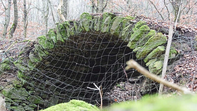 Dieser Gewölbekeller ist eines der letzten Überbleibsel des Dorfes Wachsenberg.