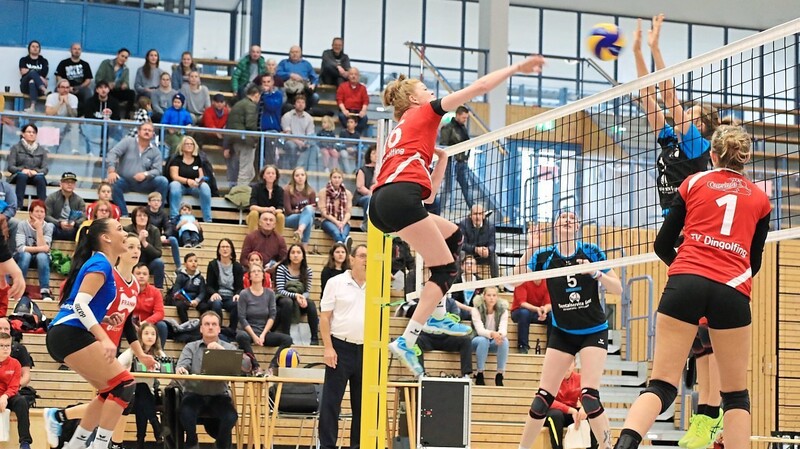 Die Volleyballdamen des TVD wollen nachlegen, bevor die Basketballer ihr Heimspiel gegen Regensburg bestreiten. (Bild: Armin Kerscher)