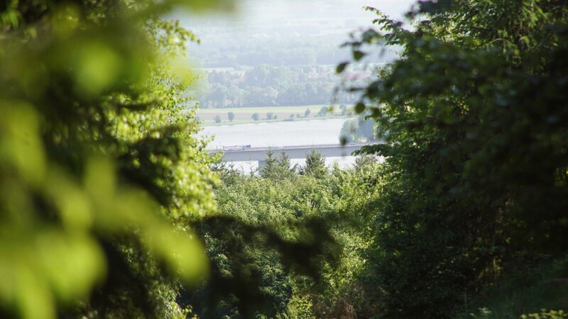 Blick vom Rauhenberg auf die Donau und die Autobahnbrücke. In diesem Waldgebiet bei Wiesent ist ein Steinbruch geplant, den der Bund Naturschutz verhindern möchte.