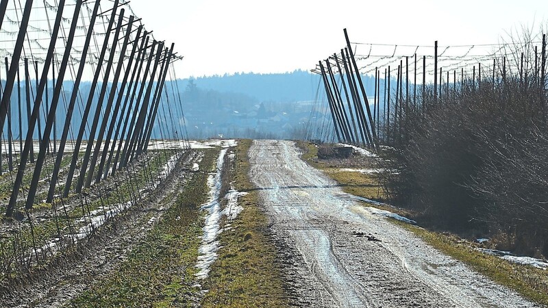 Ein Antrag der SLU-Fraktion auf stärkere städtische Beteiligung bei der Pflege von öffentlichen Feld- und Waldwegen fand erst einmal keine Zustimmung im Finanzausschuss des Stadtrats.