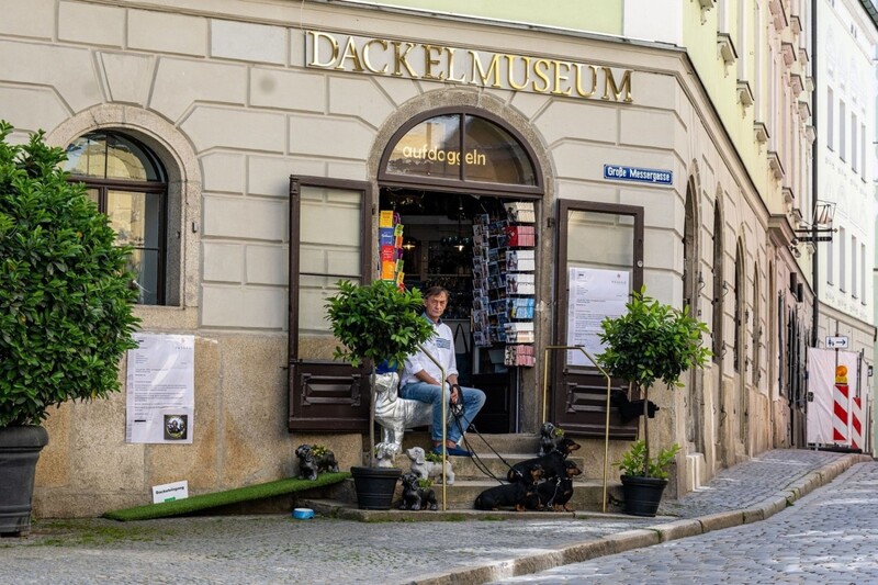 Das Dackelmuseum wird nach Regensburg kommen. (Archivbild) 