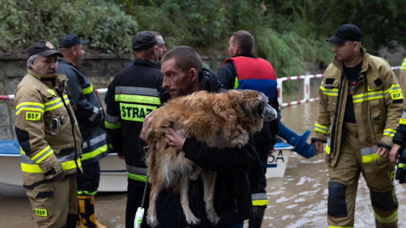 Hund über Wasser: Ein Pole hält sein Haustier trocken.