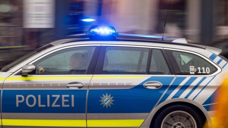 Die 33-jährige Ladendiebin hat sich laut Polizei heftig gewehrt. (Symbolbild)