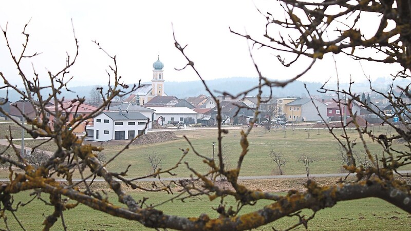 Bei der Sitzung in Michelsneukirchen beschloss der ILE-Zweckverband Vorderer Bayerischer Wald, ab Herbst in den Mitgliedsgemeinden ausgewählte, öffentliche Obstbäume als Probierbäume auszuweisen.