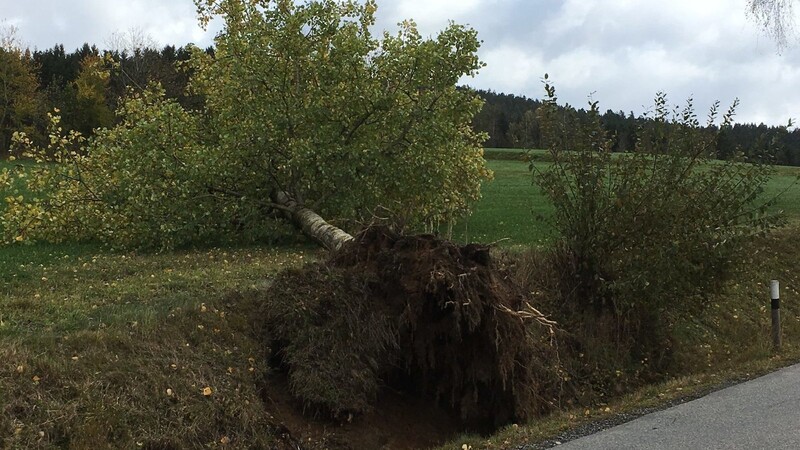 Die Polizei zieht nach dem Sturm Bilanz.