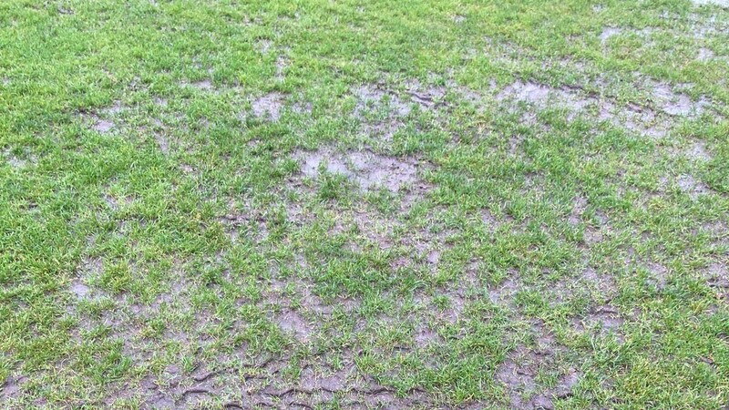 Nasse Angelegenheit: Der Platz im Deggendorfer Donau-Wald-Stadion vor dem Heimspiel gegen die SpVgg Pfreimd am Samstag. Nicht nur in Deggendorf hat es in der Landesliga Mitte eine Spielabsage gegeben.