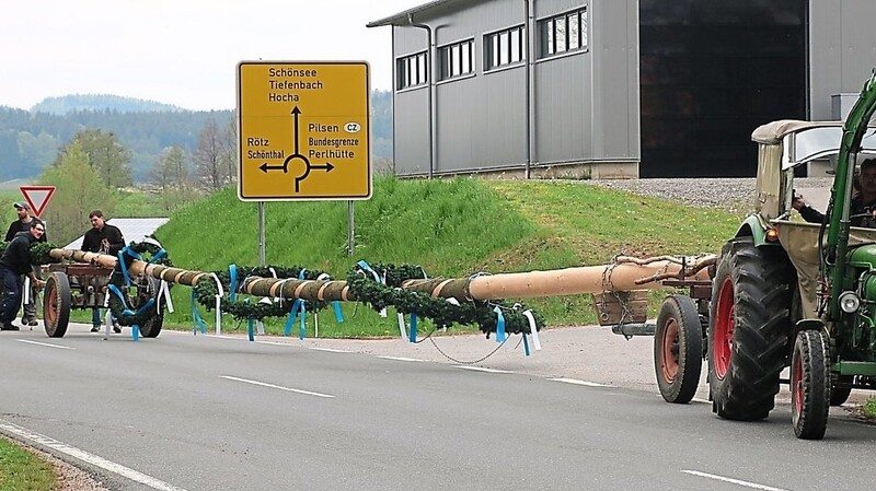 Über den Hochaer Kreisverkehr ging's für den Maibaum zurück in Richtung Heimat.