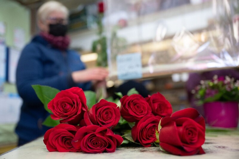 Eine Floristin bereitet in einer Blumenhandlung einen Valentinsstrauß aus roten Rosen vor. 