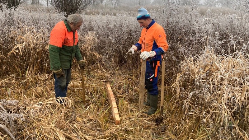 Die Moore im Landkreis Kelheim sollen nass bleiben. Der VöF führt erste Versuche zur Wiedervernässung durch, wie hier im Niedermoor bei Niederleierndorf. Es wird ein Seitengraben mit Holzspundwänden aufgestaut.