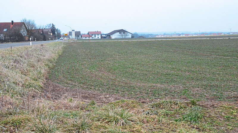 Um diese Flächen geht es. Im Vordergrund das Grundstück, auf dem ein zweiter Verbrauchermarkt geplant ist; im Hintergrund - nach der Straße - das Feld von Rupert Amman und dahinter sein Anwesen.